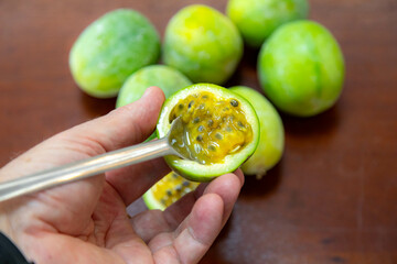 passion fruit from the bush or passion fruit from the backlands or marucujá from the cerrado....