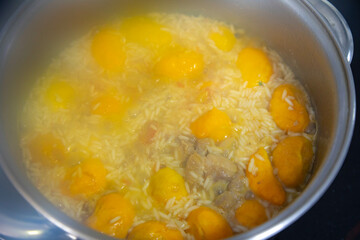 Traditional Brazilian dish rice, chicken and pequi (caryocar brasileinse) known as galinhada goiana