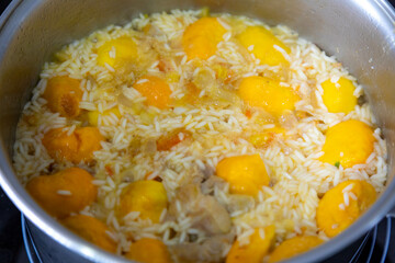 Traditional Brazilian dish rice, chicken and pequi (caryocar brasileinse) known as galinhada goiana