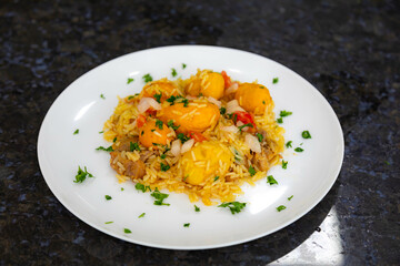 Traditional Brazilian dish rice, chicken and pequi (caryocar brasileinse) known as galinhada goiana