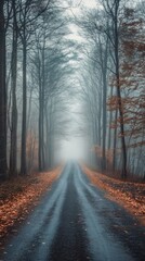 Fototapeta premium A Tranquil Journey on a Misty Road Surrounded by Tall, Bare Trees and Fall Leaves