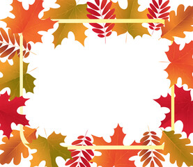 Autumn composition with frame of colorful fall leaves on a transparent background. Autumn card template design banner