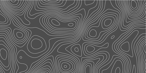 Fototapeta premium Fresh clean topography vector abstract background desktop wallpaper for print works digital drawing curved lines flowing trail geo texture