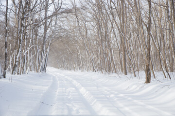 beautiful empty winter road after the snowfall