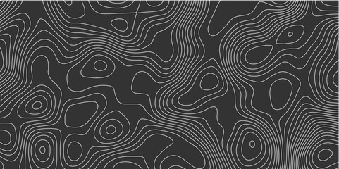 Exploring the Intricate Intersections of Topology and Topography Through Innovative Vector-Based Techniques in Modern Wallpaper Design A Comprehensive Study

