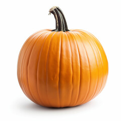 Obraz premium pumpkin isolated on white background