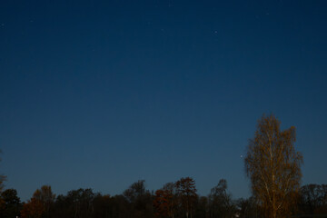 Fototapeta premium A peaceful night scene with a clear, star-filled sky above silhouettes of autumn trees. The serene atmosphere highlights the beauty of the dark sky and stars.