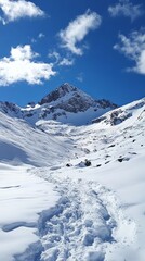 Snowy Mountain Path: A Winter Wonderland Hike