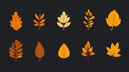 Obraz premium Set of ten autumn leaves in various shapes and shades of yellow and orange on a black background.