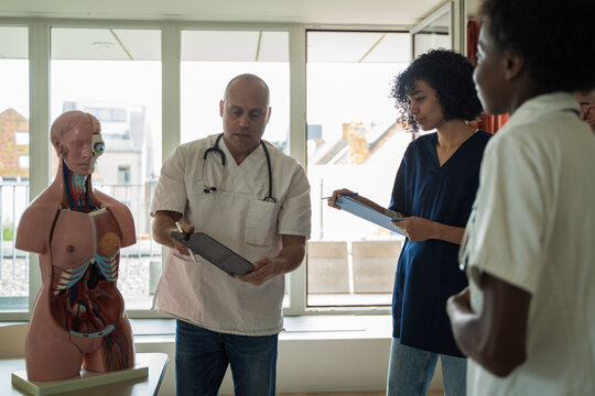 Diverse medical team reviewing patient data, anatomy model, healthcare education, professional collaboration