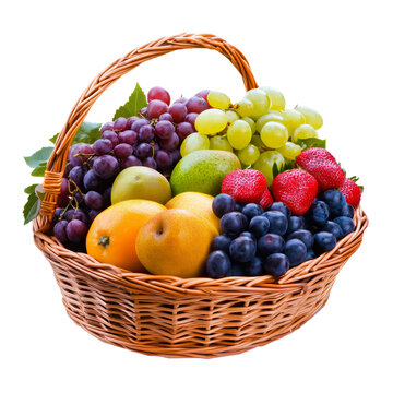Garden Fresh fruits in a busket