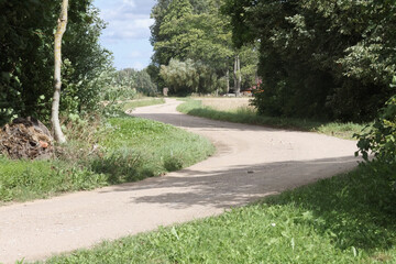 winding country road through deciduous trees