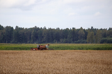 a farmer working in a corn field with a combine harvester