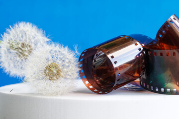 Old color film and white dandelions on a bright blue background. Nostalgic memories of the past...