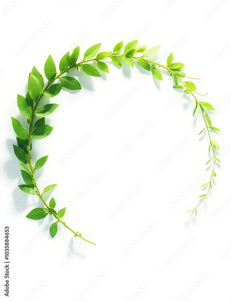 Poster dynamic natural forms transform and frame trends on white space isolated on a white background.