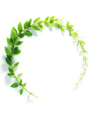 Fototapeta premium Dynamic natural forms transform and frame trends on white space isolated on a white background.