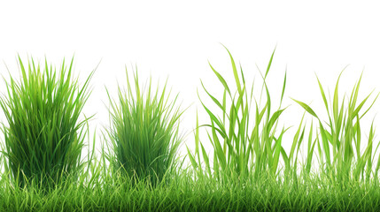 Fototapeta premium Isolated Lush Green Grasses on Transparent Background Generative AI