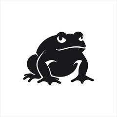 frog on white background