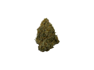 WHITE WIDOW WEED BUD