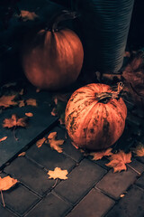 Two pumpkins on a stone-paved surface with scattered autumn leaves, lit by soft evening light,...
