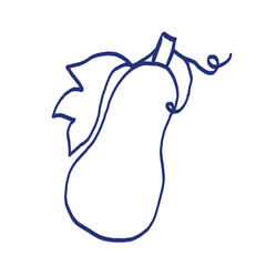 Pumpkin vegetable sketch. Vector illustration. Blue pen or marker drawing. Primitive kids picture