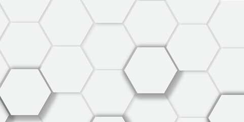 Abstract white background with hexagon and hexagonal background. vector abstract pattern with hexagonal white and gray technology line paper background.  Luxury honeycomb grid White Pattern. 