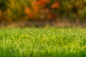 jesienne popołudnie