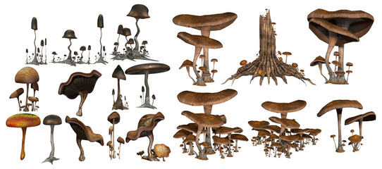 3D render of different kind and shape mushrooms isolated illustration