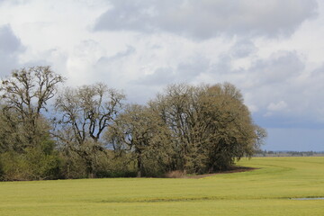 Obraz premium Oregon landscape 