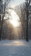 Obraz premium Winter Wonderland: Snowfall in a Sunlit Forest