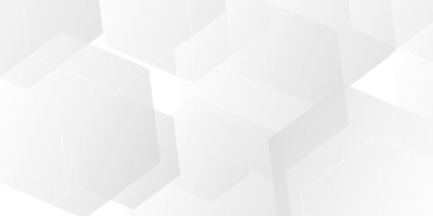 Abstract white background with hexagon and hexagonal background. vector abstract pattern with hexagonal white and gray technology line paper background.  Luxury honeycomb grid White Pattern. 