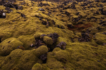 nature sceneries inside the Djupalonssandur beach on the Snaefellsnes Peninsula, Iceland