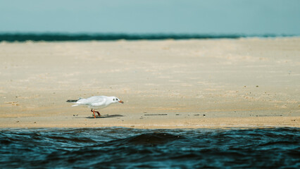 moliets-et-maa profile