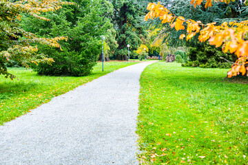 Obraz premium A Path in the Park on the Autumn