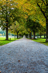 Path in the park between the trees during autumn