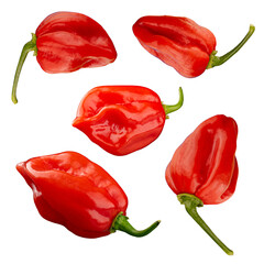 Vibrant fresh red habanero peppers
