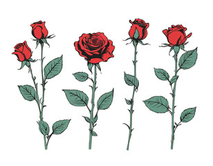 Naklejka premium set of roses isolated on a white background