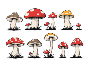 fly mushrooms isolated on a white background