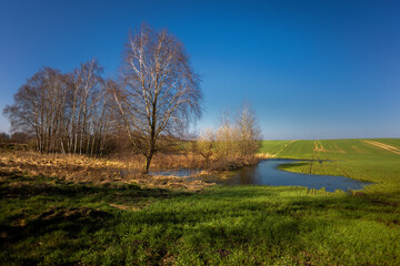 Wiosenne pole © Robert