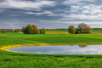 Wiosenne pole © Robert