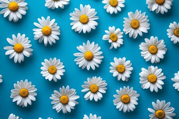 Fototapeta premium Daisy pattern on turquoise background