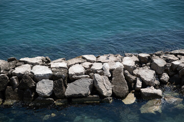bird on the rocks