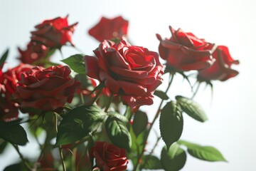 Fototapeta premium Bouquet of red roses on white background
