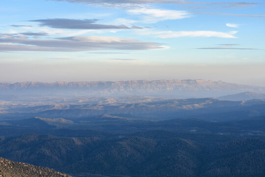 Aleppo Pine Forest of Ouled Melloul in Khanchela, Algeria