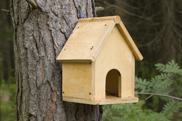 Bird feeder in the park. Feeding birds in the park.