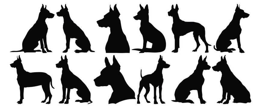 Doberman silhouettes set, dog pack of vector silhouette design, isolated background