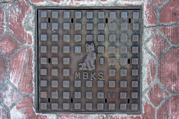 Manhole cover to Storm water drain marked 