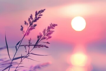 Silhouetted Grass Blades at Sunset with a Blurred Sun