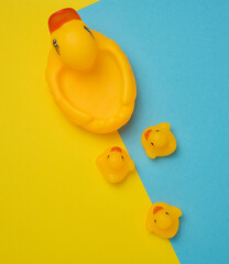 Yellow rubber ducks on a blue background, children's toy, top view