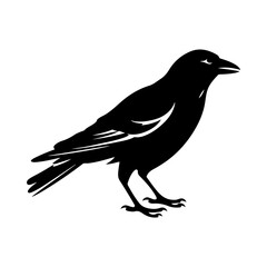 Obraz premium Black silhouette of a Crow vector illustration